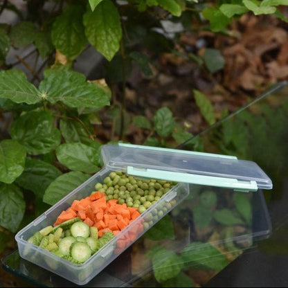 Lifeware Airtight Freeze Storage Box (Meat Storage Box)
