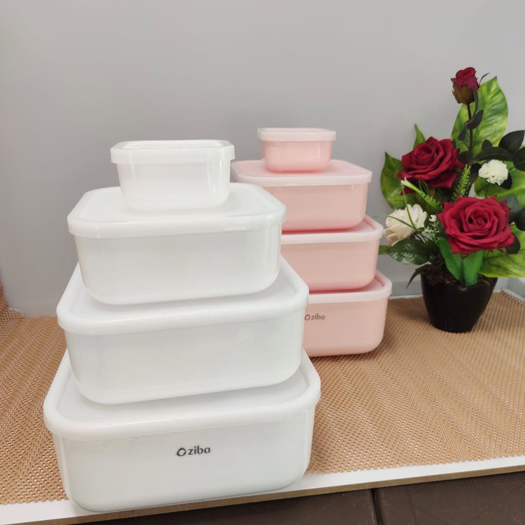 ZIBA Plastic Bowl Set with Airtight Lid 4-Pcs!