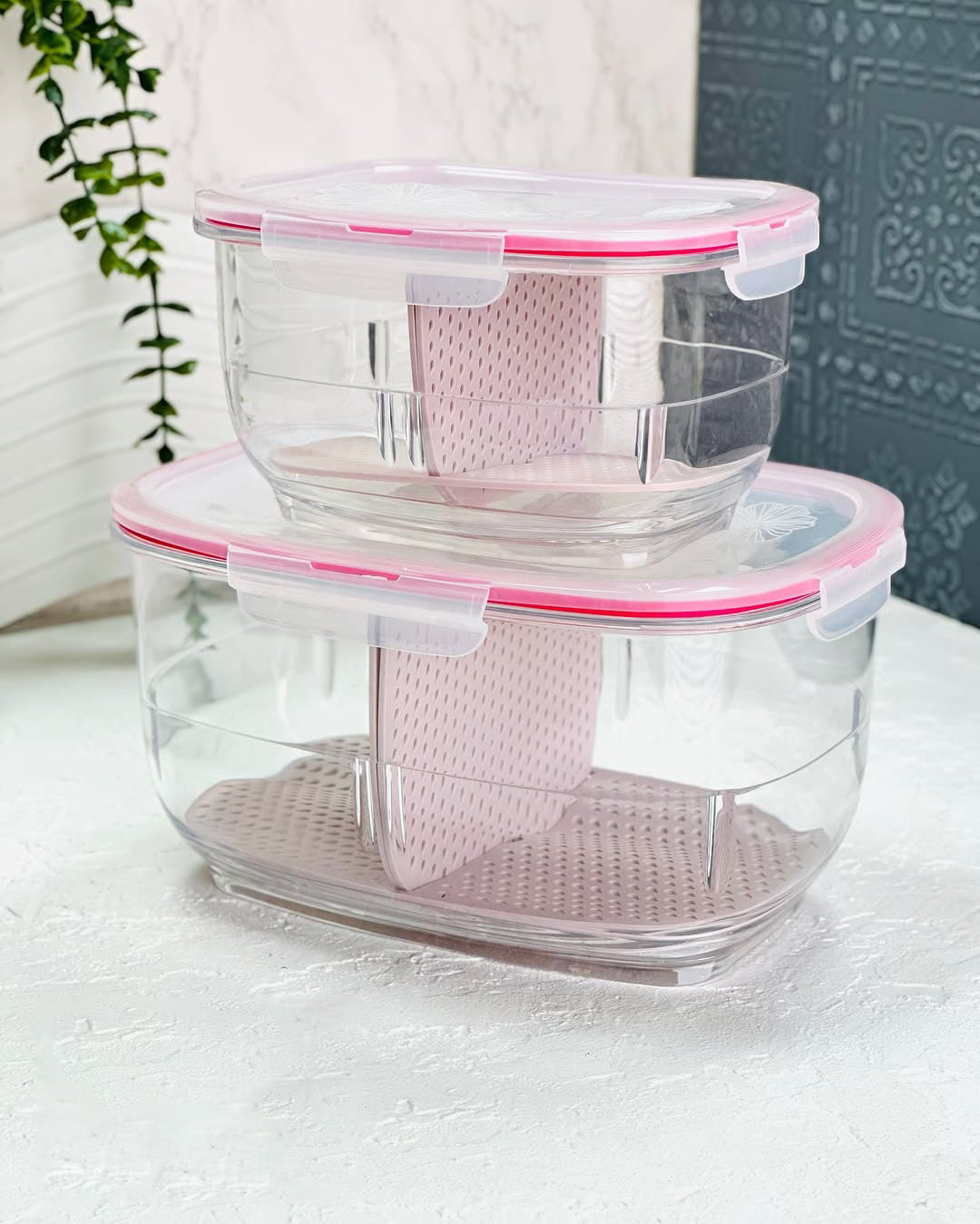Limon Fruit & Vegetable Container!
