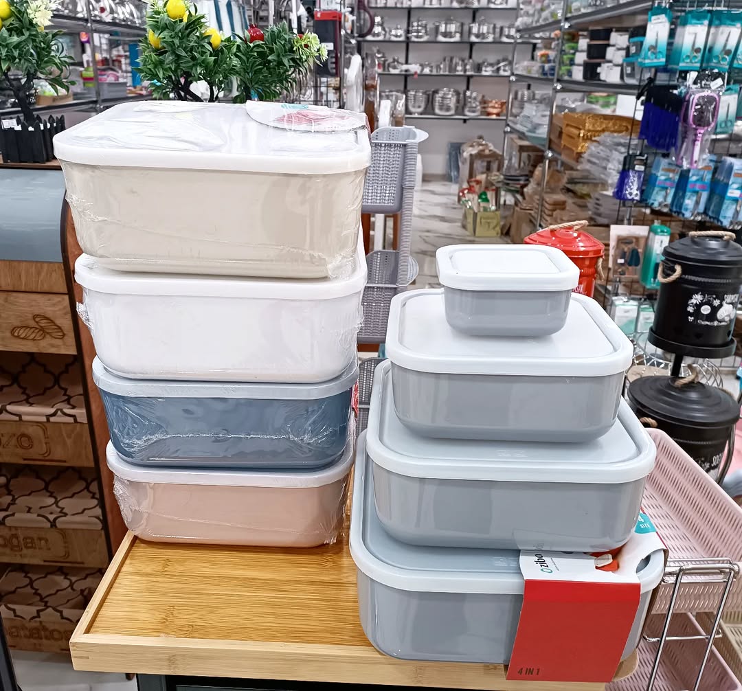 ZIBA Plastic Bowl Set with Airtight Lid 4-Pcs!