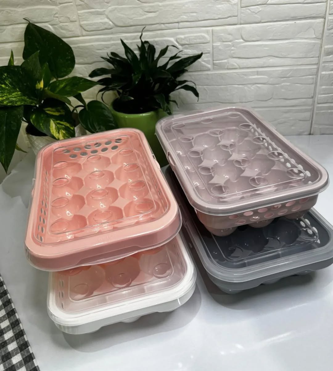 Goldplast Egg Storage Tray (15-Eggs)!