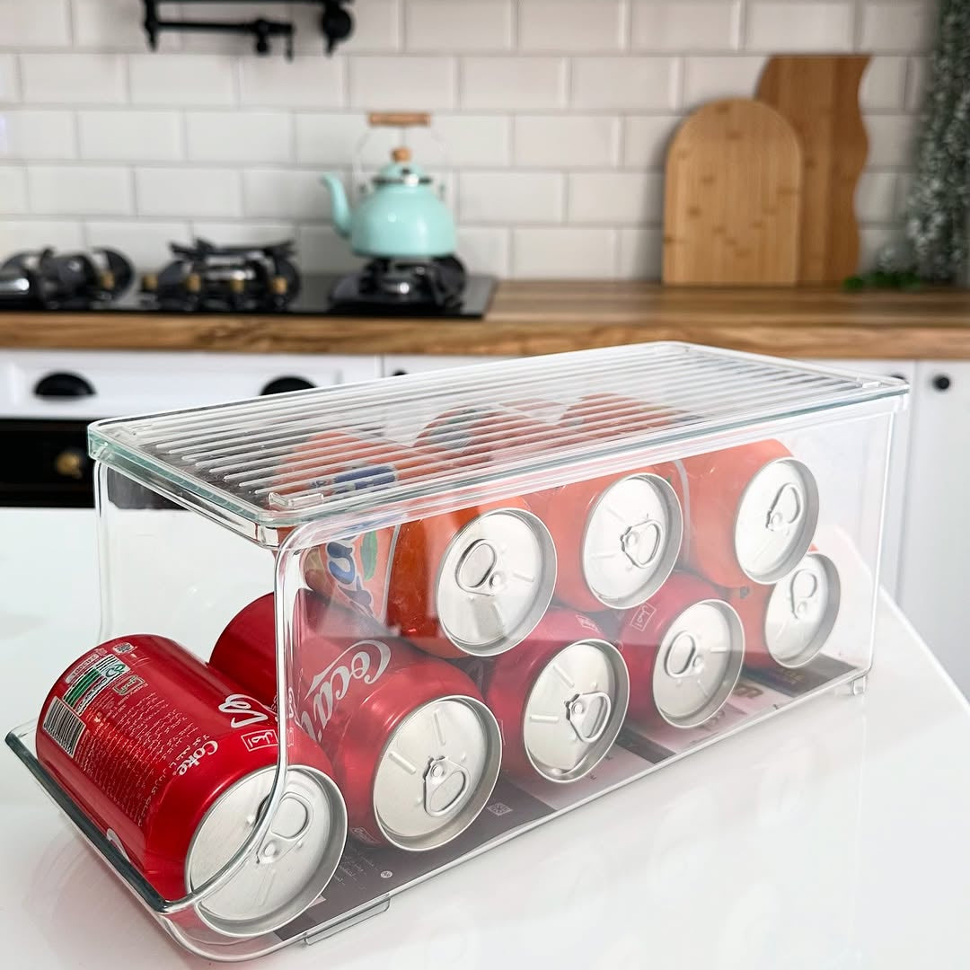 Limon Acrylic Freeze Storage Organizer with Lid (Crystal)!