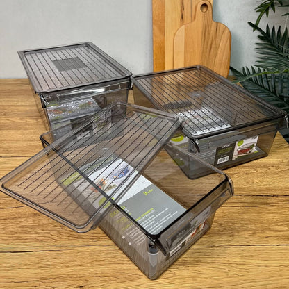 Limon Freeze Storage Organizer with Lid!