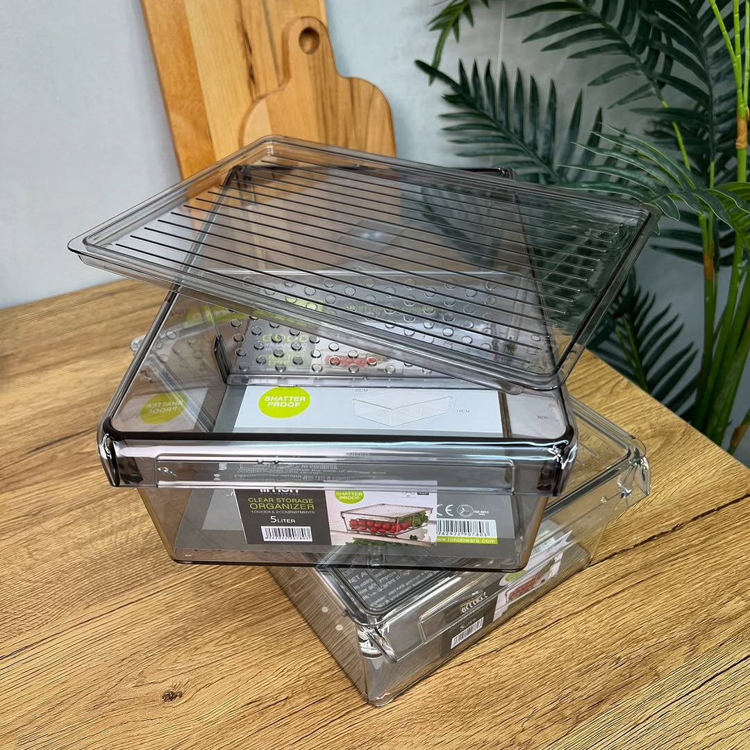 Limon Freeze Storage Organizer with Lid!