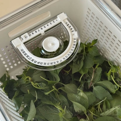 Limon Fridge Container with Dated Lids!