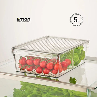 Limon Freeze Storage Organizer with Lid!