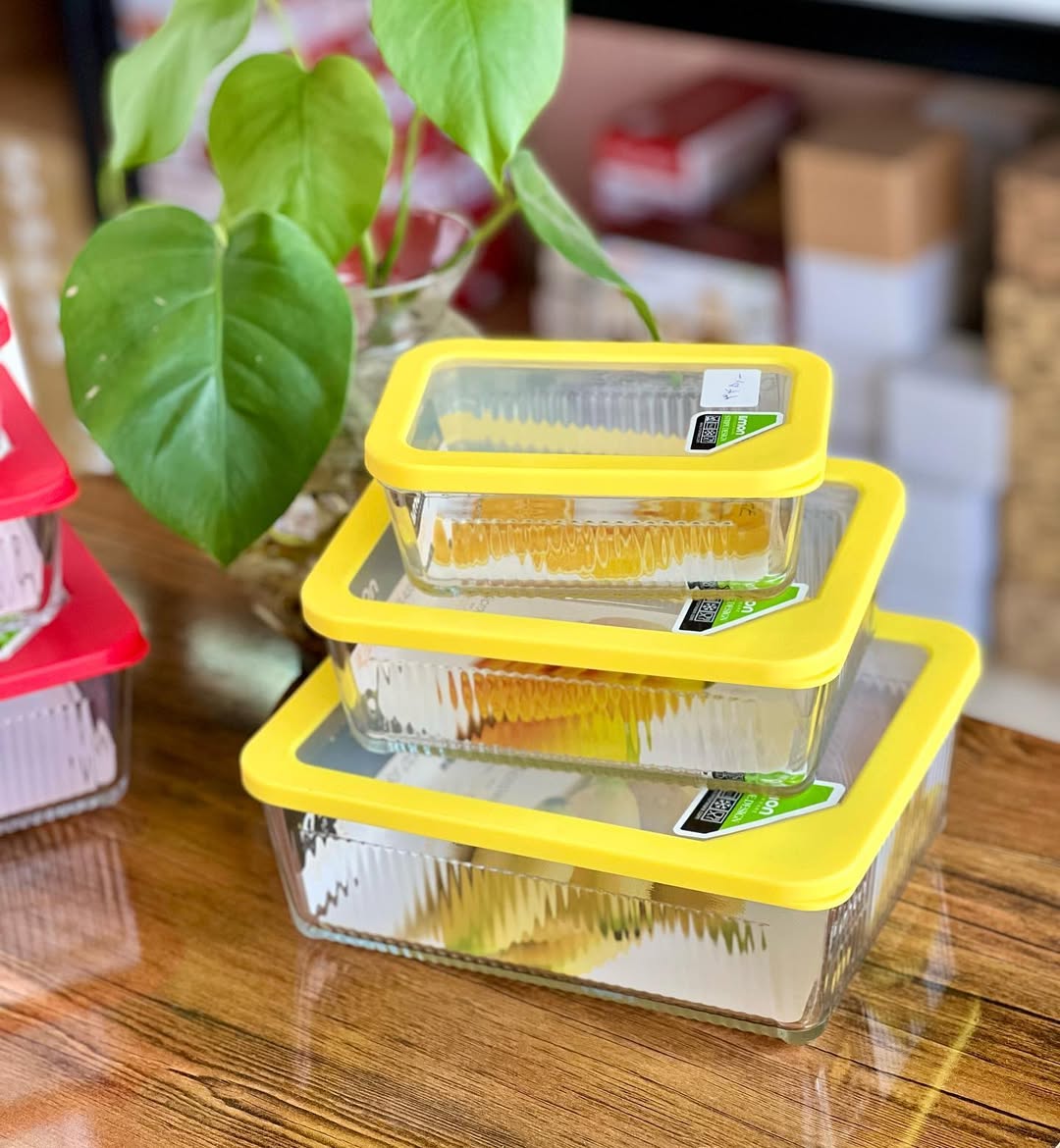 Limon Multicolor Glass Container 3-Pcs Set!