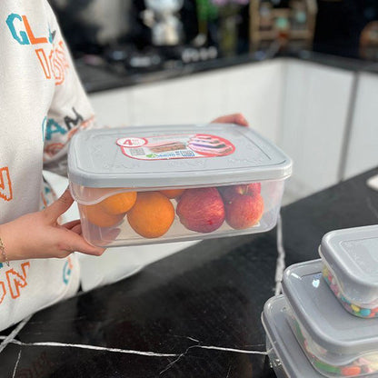 Ashkan Food Container Set 3-Pcs (Rectangle)