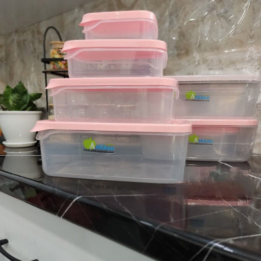 Ashkan Plastic Food Container Set 4-Pcs (Rectangle)