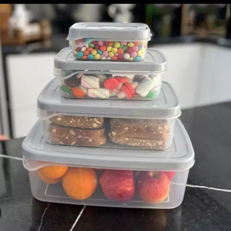 Ashkan Plastic Food Container Set 4-Pcs (Rectangle)