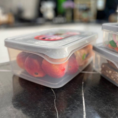 Ashkan Plastic Food Container Set 4-Pcs (Rectangle)