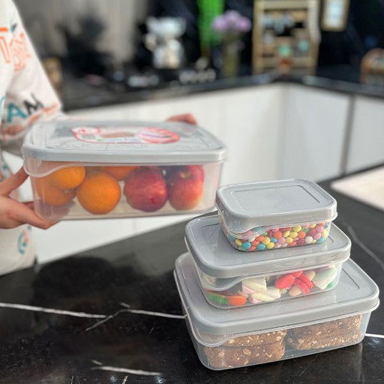 Ashkan Plastic Food Container Set 4-Pcs (Rectangle)