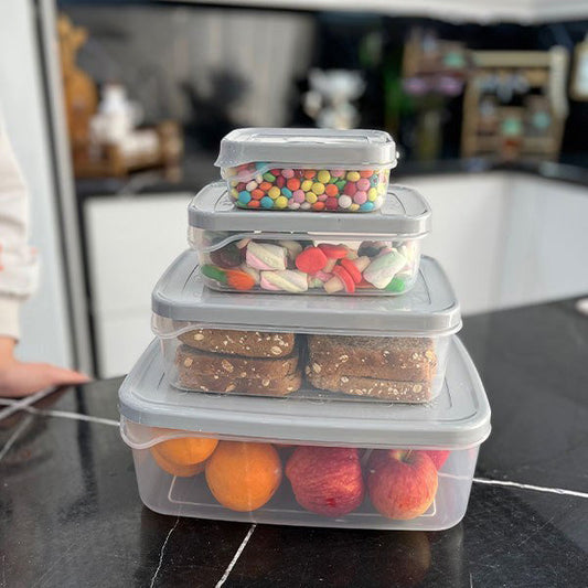 Ashkan Plastic Food Container Set 4-Pcs (Rectangle)