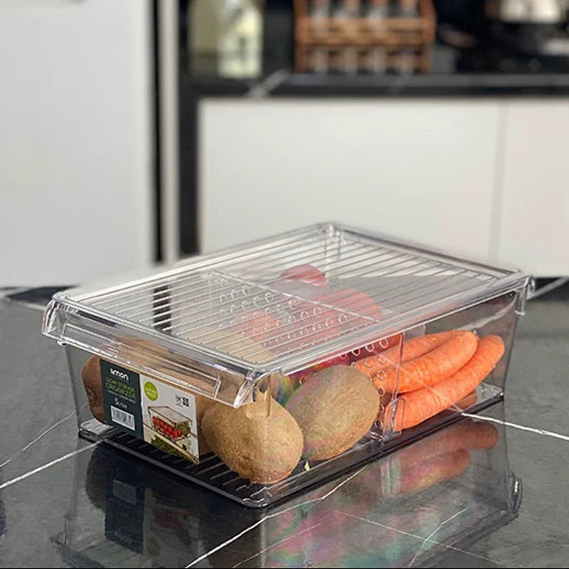 Limon Freeze Storage Organizer with Lid!