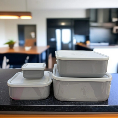 ZIBA Plastic Bowl Set with Airtight Lid 4-Pcs!