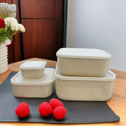 ZIBA Plastic Bowl Set with Airtight Lid 4-Pcs!