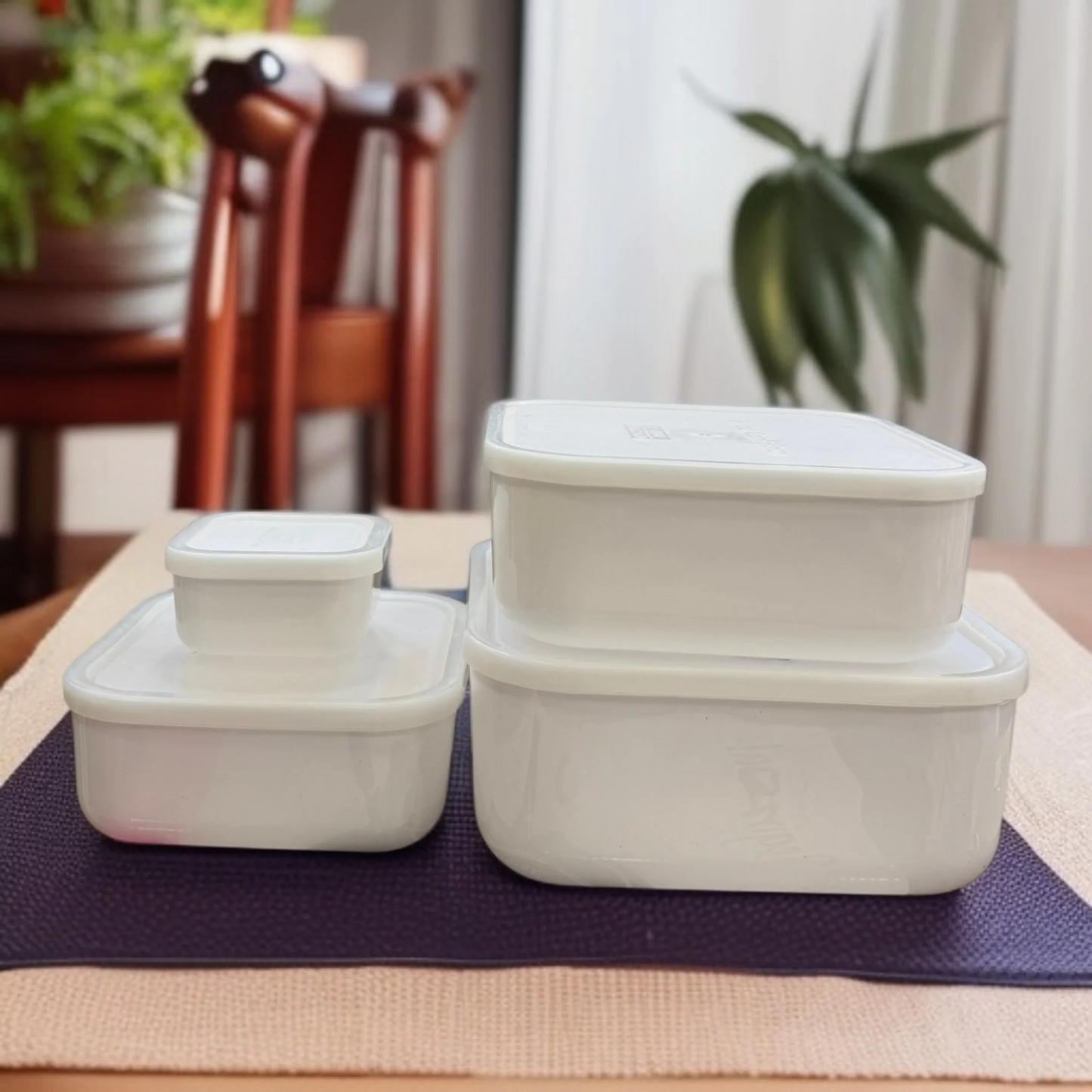 ZIBA Plastic Bowl Set with Airtight Lid 4-Pcs!